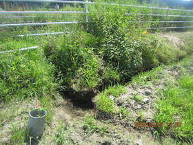 陸前高田ひろば20200829033.jpg