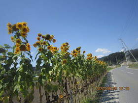 陸前高田ひろば20200829035.jpg