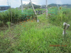 陸前高田ひろば20200829036.jpg