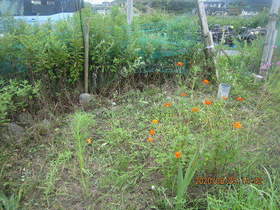 陸前高田ひろば20200829037.jpg