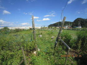 陸前高田ひろば20200919001.jpg