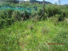 陸前高田ひろば20200919005.jpg