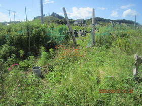 陸前高田ひろば20200919006.jpg