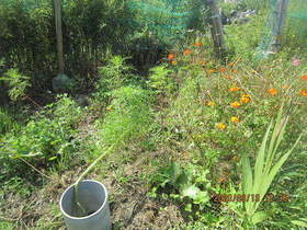 陸前高田ひろば20200919007.jpg