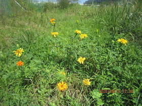陸前高田ひろば20200919013.jpg
