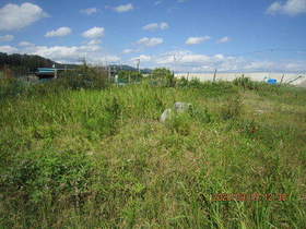 陸前高田ひろば20200919015.jpg