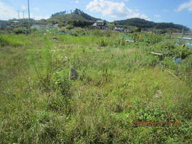 陸前高田ひろば20200919020.jpg