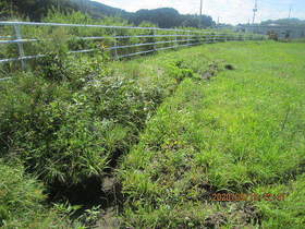 陸前高田ひろば20200919024.jpg