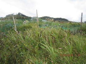 陸前高田ひろば20201003004.jpg