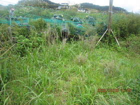 陸前高田ひろば20201003005.jpg