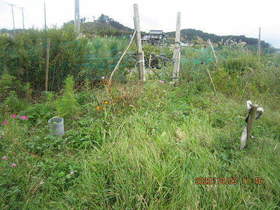 陸前高田ひろば20201003006.jpg