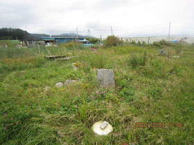 陸前高田ひろば20201003010.jpg