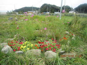 陸前高田ひろば20201003011.jpg