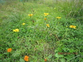 陸前高田ひろば20201003016.jpg