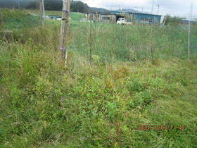 陸前高田ひろば20201003017.jpg
