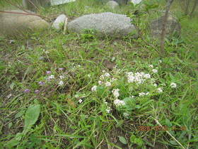 陸前高田ひろば20201003021.jpg
