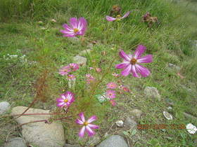 陸前高田ひろば20201003024.jpg