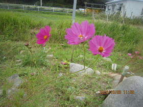 陸前高田ひろば20201003025.jpg