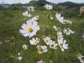 陸前高田ひろば20201003035.jpg