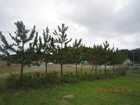 陸前高田ひろば20201003041.jpg
