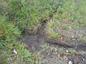 陸前高田ひろば20201003046.jpg