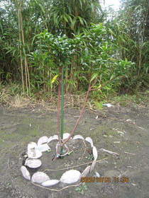 陸前高田ひろば20201003048.jpg