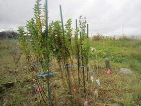 陸前高田ひろば20201003051.jpg