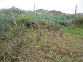 陸前高田ひろば20201003052.jpg