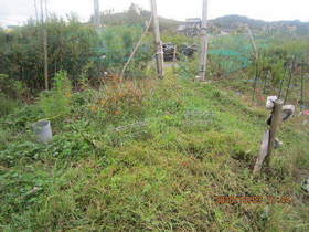 陸前高田ひろば20201003053.jpg