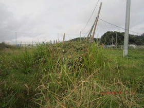 陸前高田ひろば20201003054.jpg