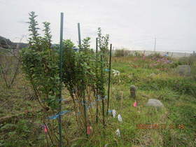 陸前高田ひろば20201017002.jpg