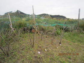 陸前高田ひろば20201017003.jpg