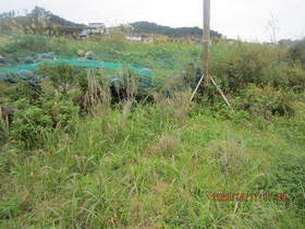 陸前高田ひろば20201017004.jpg