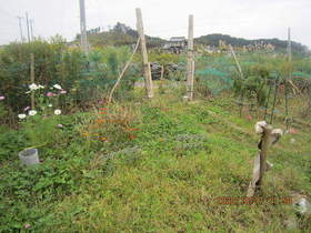 陸前高田ひろば20201017007.jpg