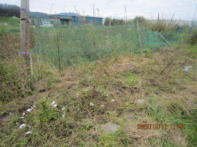 陸前高田ひろば20201017015.jpg