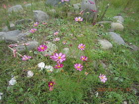 陸前高田ひろば20201017019.jpg