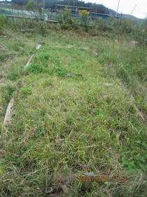 陸前高田ひろば20201017020.jpg