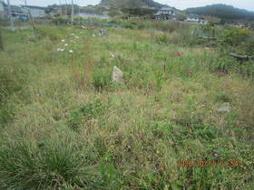 陸前高田ひろば20201017023.jpg