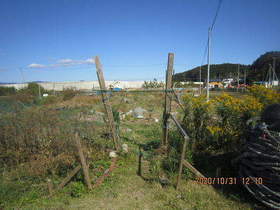 陸前高田ひろば20201031001.jpg