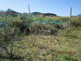 陸前高田ひろば20201031004.jpg