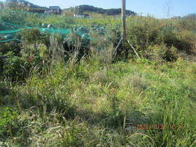 陸前高田ひろば20201031005.jpg