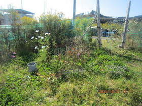 陸前高田ひろば20201031006.jpg