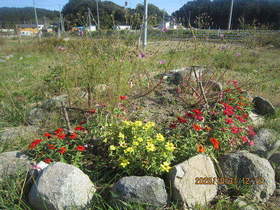 陸前高田ひろば20201031014.jpg