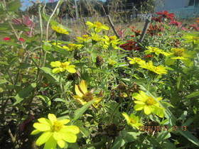 陸前高田ひろば20201031015.jpg