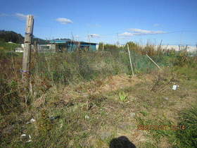 陸前高田ひろば20201031023.jpg