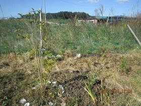 陸前高田ひろば20201031024.jpg