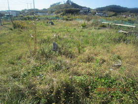 陸前高田ひろば20201031032.jpg