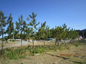 陸前高田ひろば20201031036.jpg