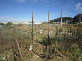 陸前高田ひろば20201205001.jpg