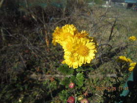 陸前高田ひろば20201205003.jpg